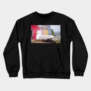 Tobermory nest Crewneck Sweatshirt